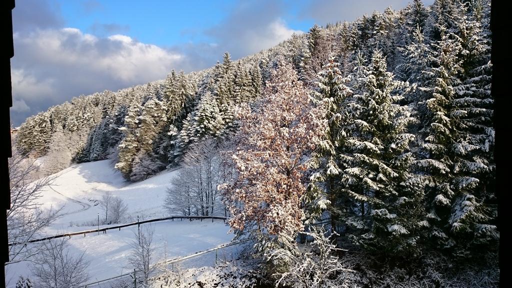Waldblick Tonbach Apartman Baiersbronn Szoba fotó