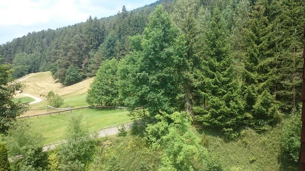 Waldblick Tonbach Apartman Baiersbronn Szoba fotó