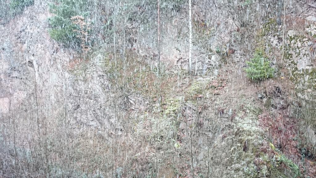 Waldblick Tonbach Apartman Baiersbronn Szoba fotó