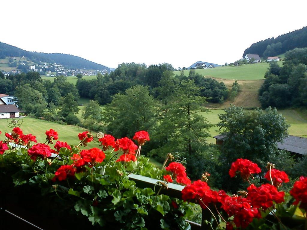Waldblick Tonbach Apartman Baiersbronn Szoba fotó
